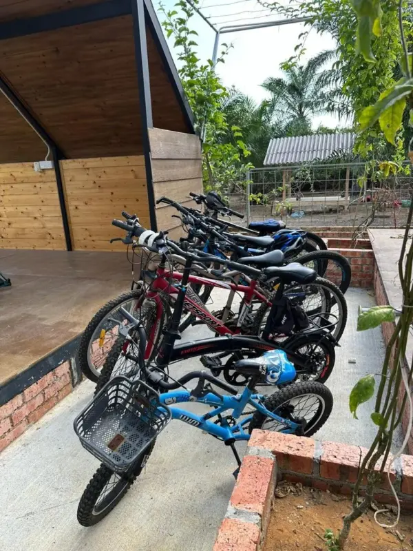 Bicycles parked for guests