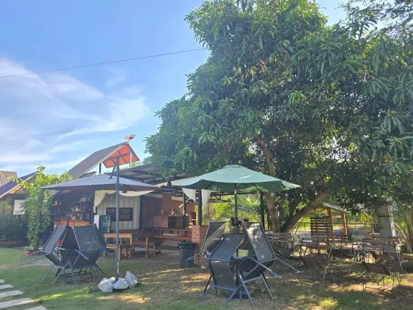 Outdoor seating with umbrellas under shady trees