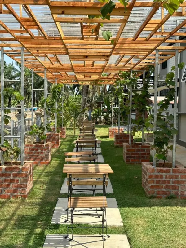 Dining tables under a timber pergola with vines