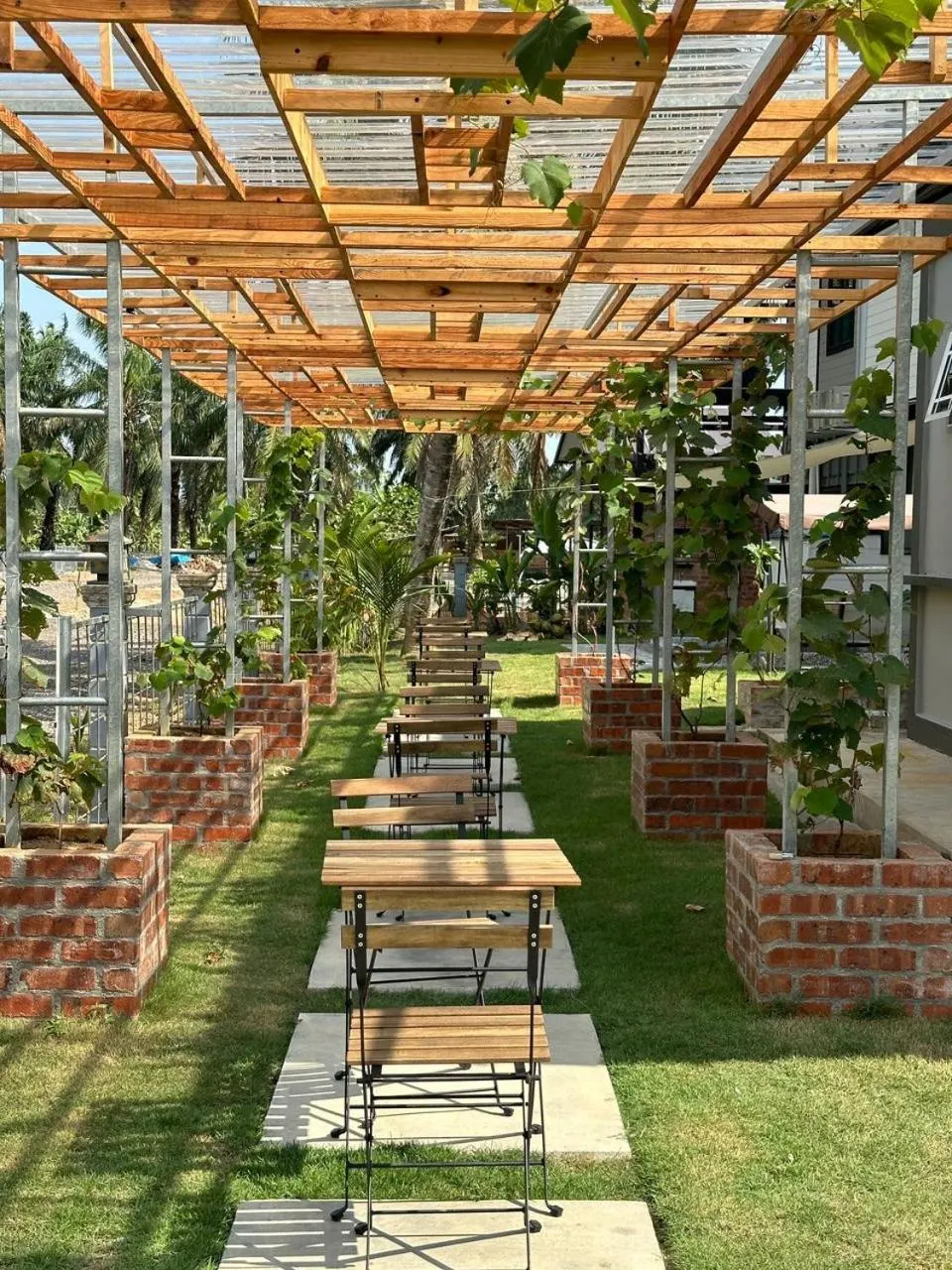 Dining tables under a vine-covered pergola