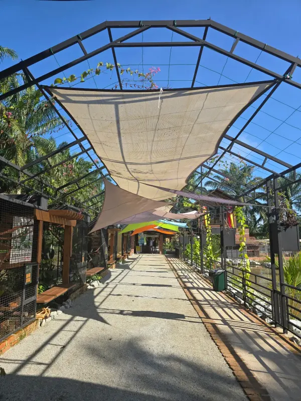 Shaded walkway through the garden