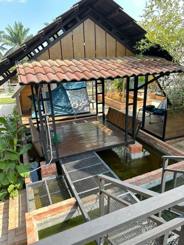 Timber hut built over a fish pond